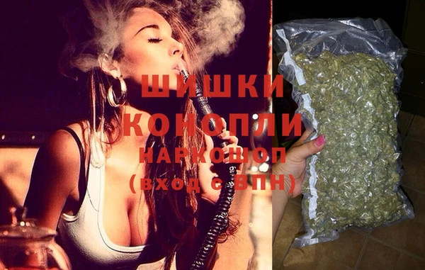 стаф Коряжма