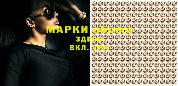стаф Коряжма