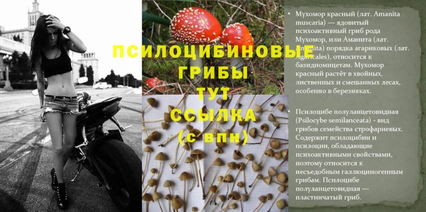 spice Корсаков