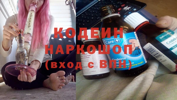 стаф Коряжма