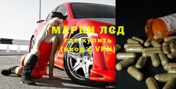 стаф Коряжма