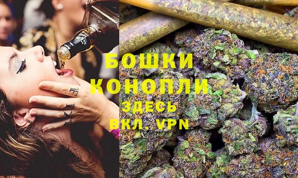 стаф Коряжма