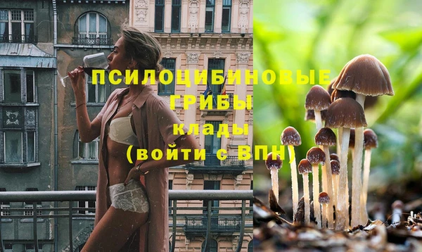 ешки Костерёво