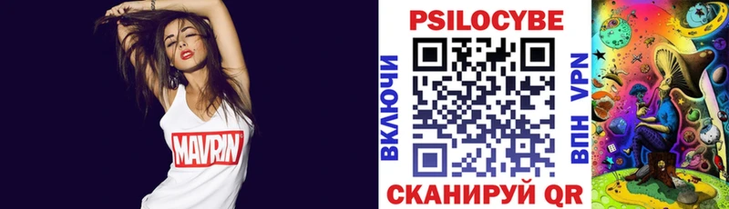 Купить  Мамоново  Галлюциногенные грибы Cubensis 