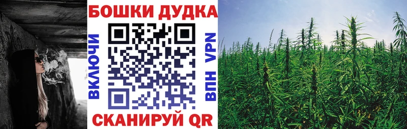 Купить где  Мамоново  Бошки Шишки сатива 